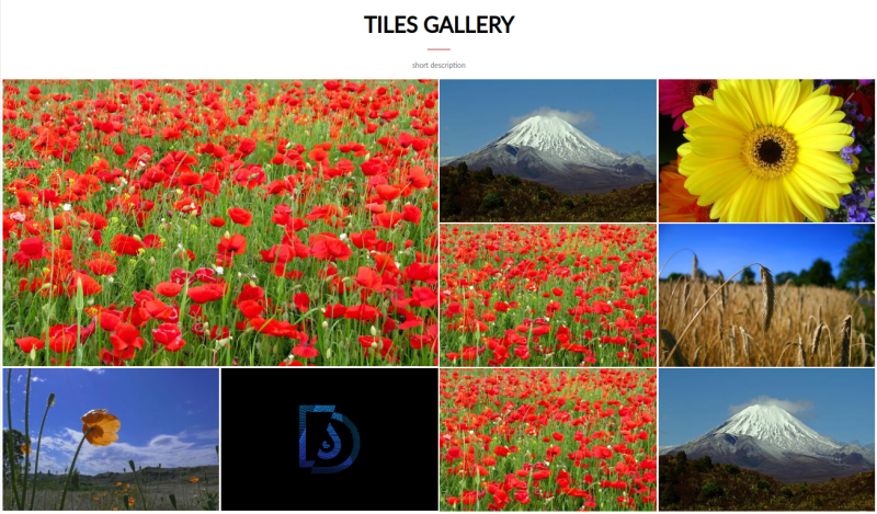 Wykorzystanie klasy “d-tiles-item-2x2”, przygotowanej dla elementów Tiles gallery