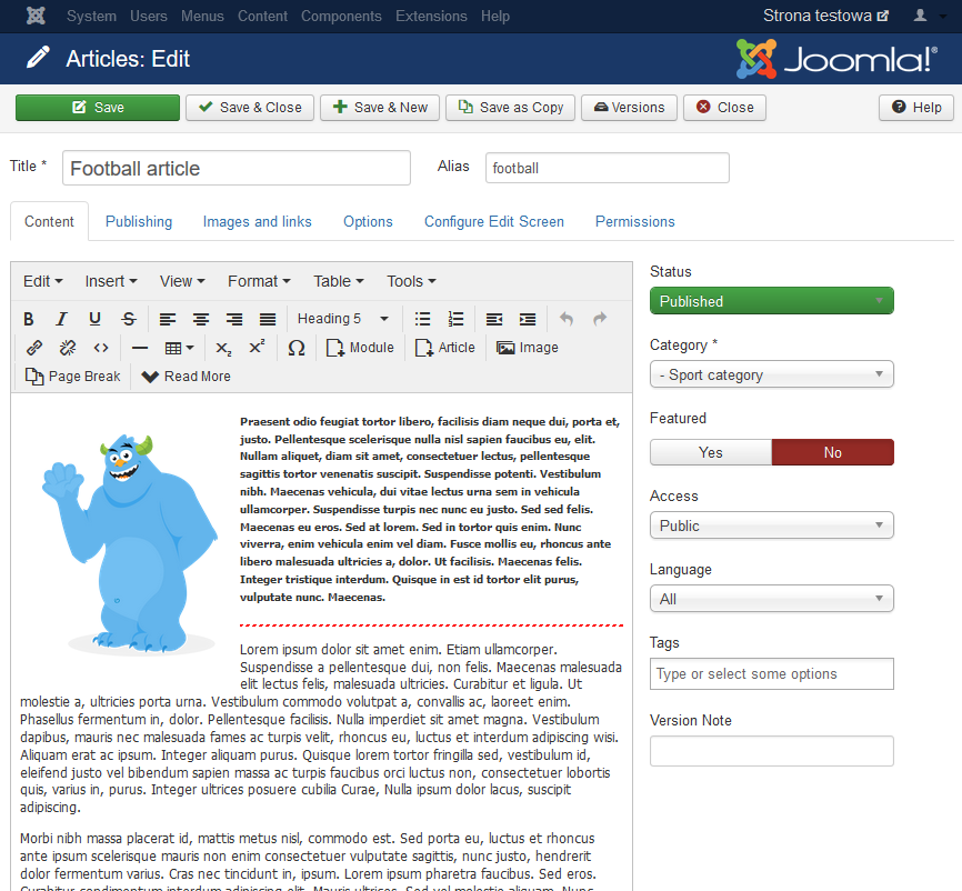 Widok edytora tekstu w Joomla CMS