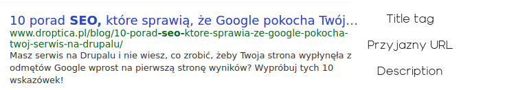 Wyniki google dla tego artykułu. Widocznytag H1, description i przyjazny url