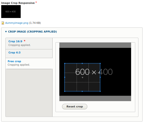 Możliwość manualnego przycinania obrazu w module Drupala Image Widget Crop