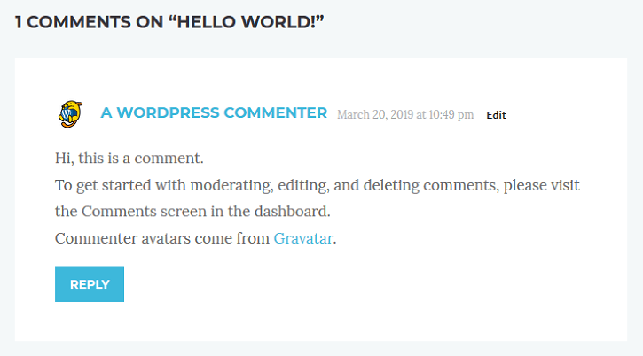 Przykład komentarza z systemu WordPress
