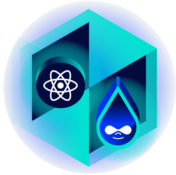 ReactJS development – support – usługi – Reactjs | Droptica