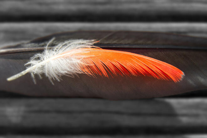 Przyspiesz swoją stronę i odciąż serwer z mod_expires