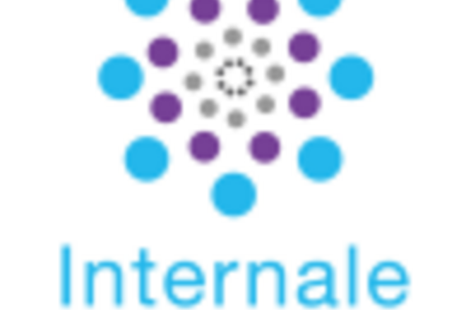 Statuetki INTERNALE rozdane