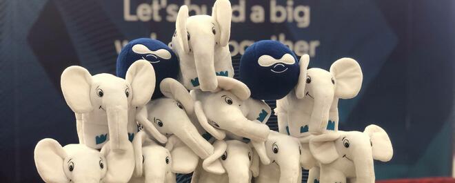 Na papierowych torbach stoi 10 pluszowych, białych słoników Na słoniach ustawione są dwie pluszowe piłeczki-druplicony. W tle: ścianka reklamowa Droptica.