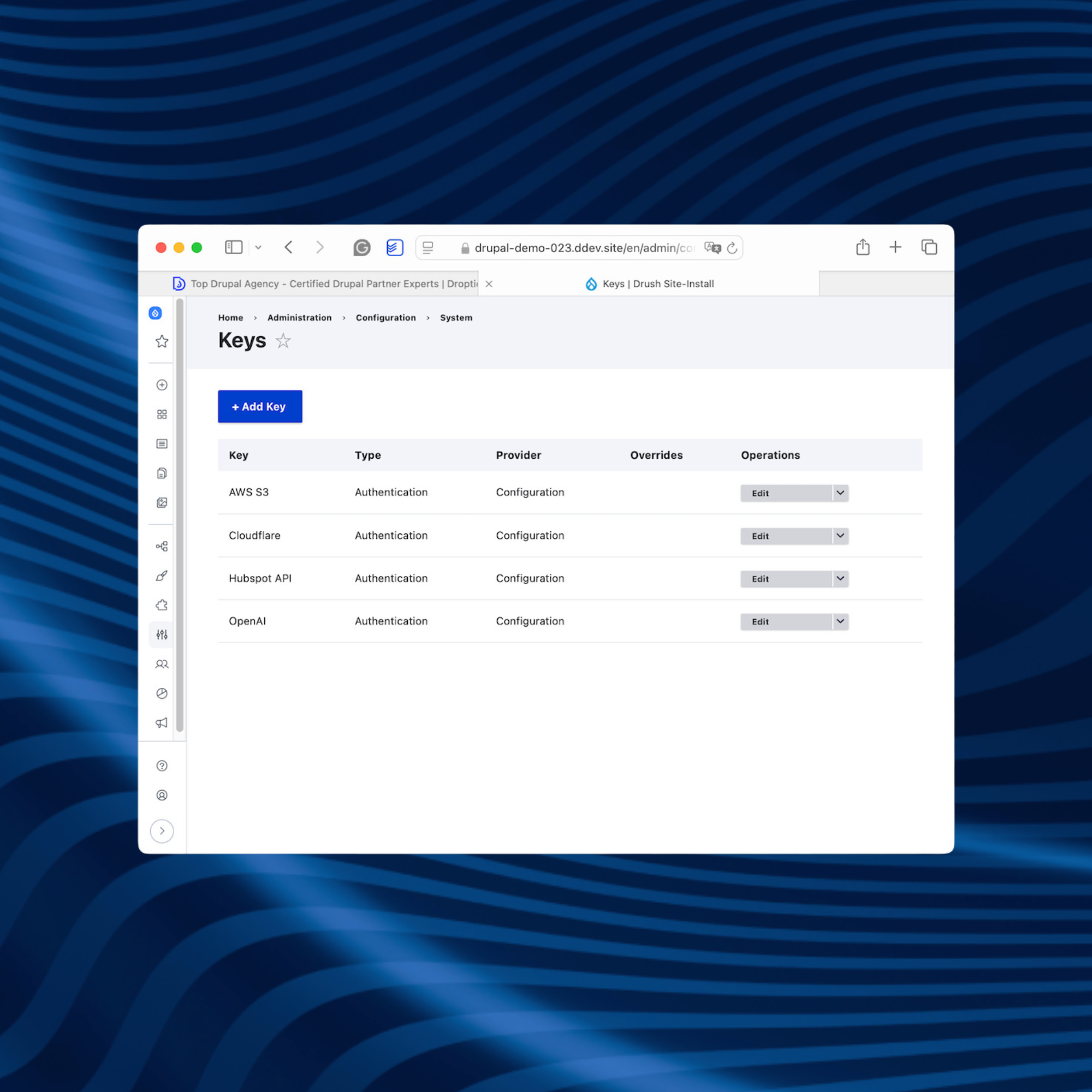 Ekran z ustawieniami kluczy do konfiguracji integracji systemu CMS z zewnętrznymi narzędziami.