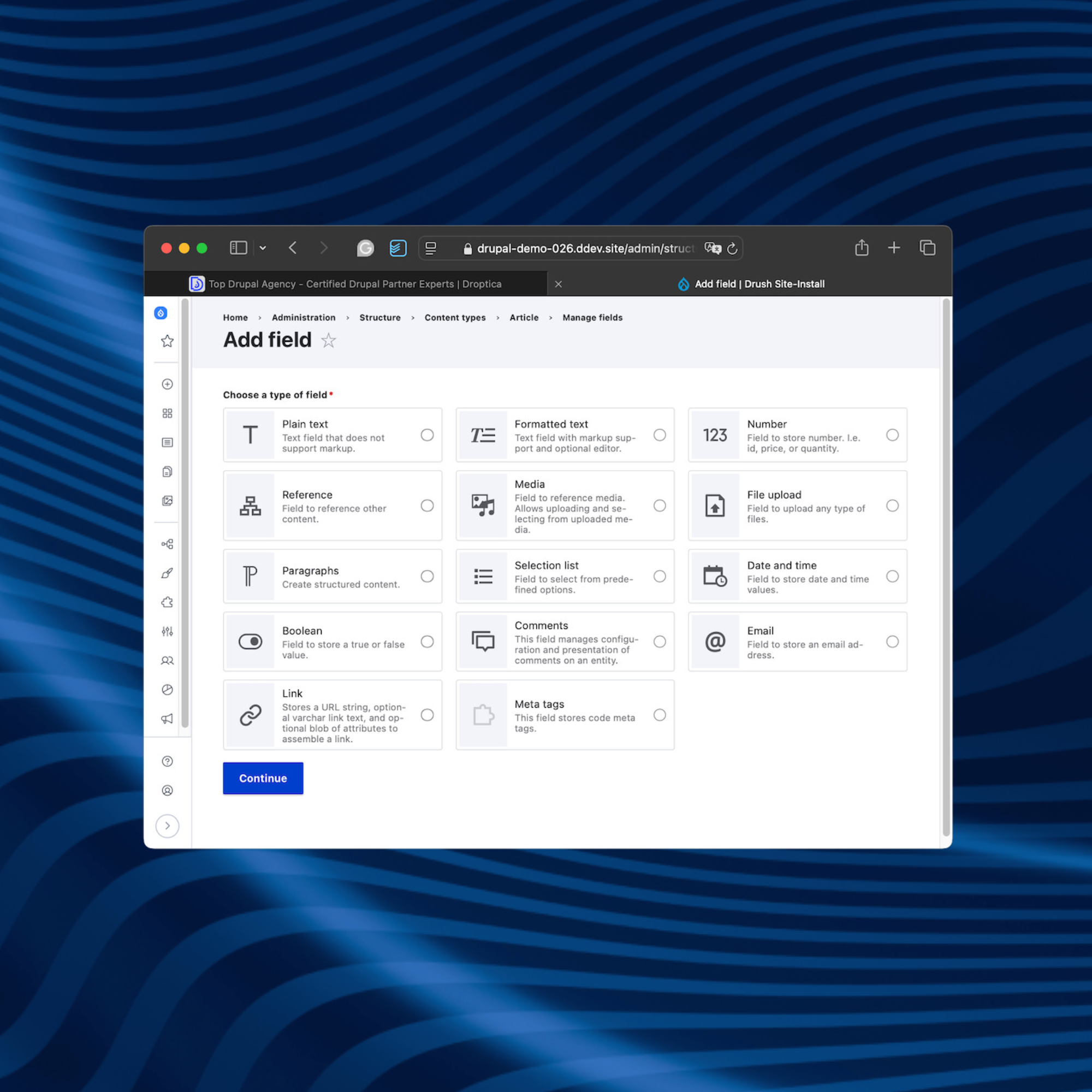 Przykład customowych pól (np. link i meta tagi), które można skonfigurować w systemie CMS Drupal.