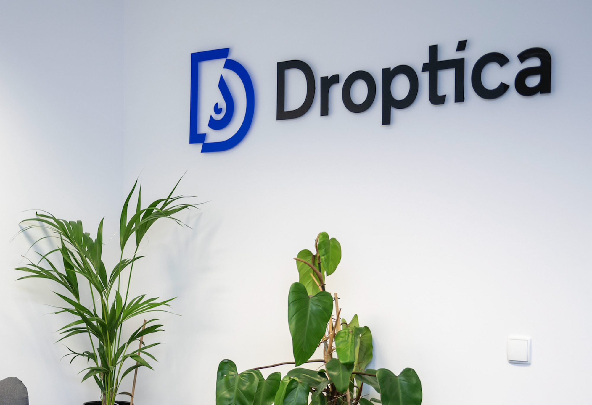 Biuro Droptica, w którym realizujemy usługi związane z tworzeniem dedykowanych systemów CMS dla klientów.