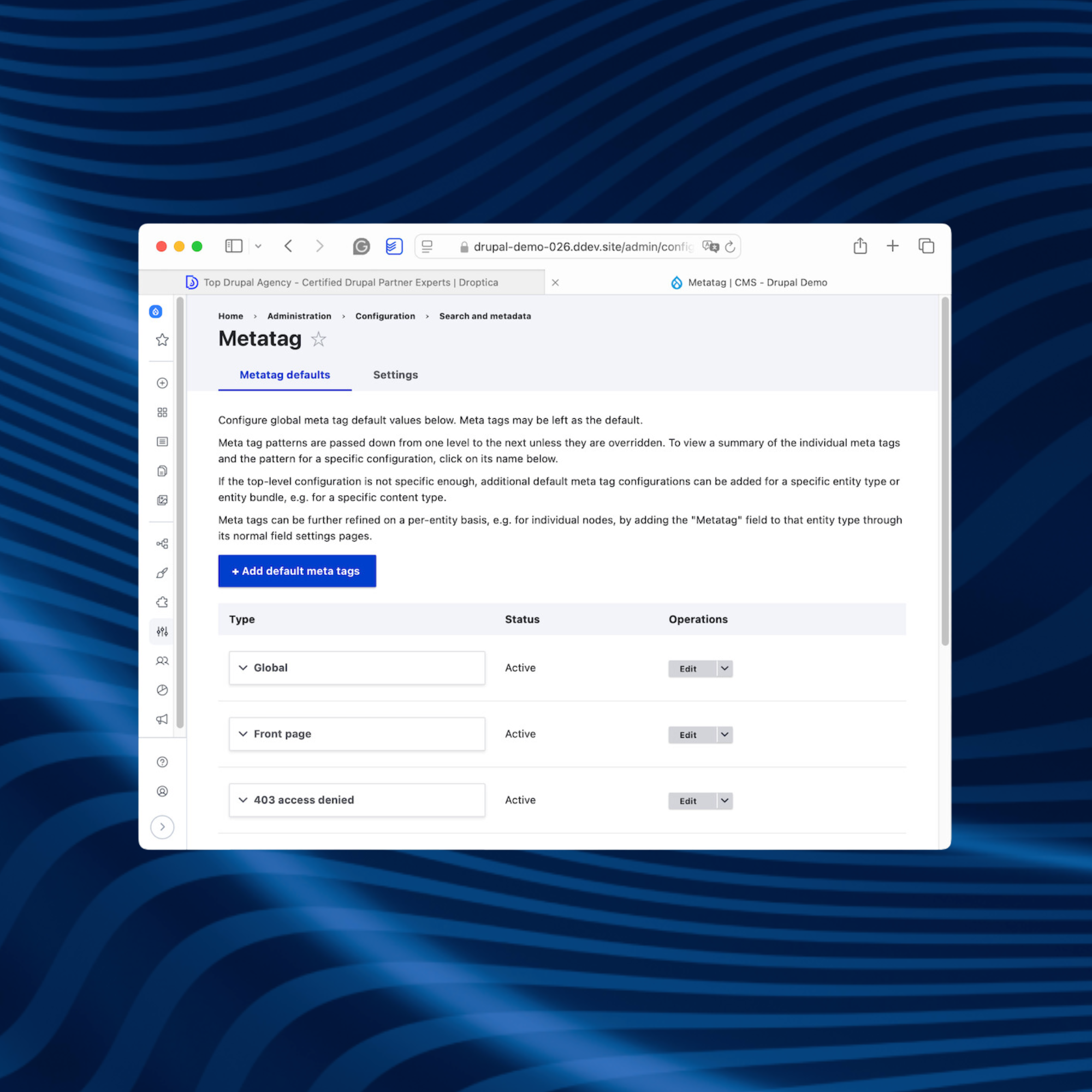 Sekcja z ustawieniami metatagów w systemie Drupal CMS, aby strona była zoptymalizowana pod SEO.