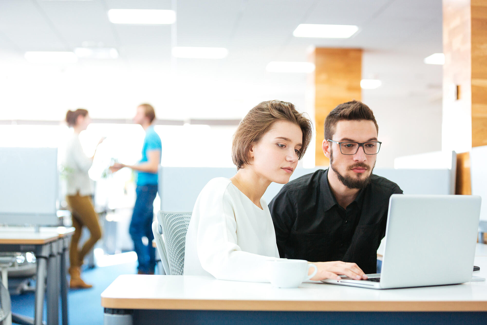 Drupal consulting